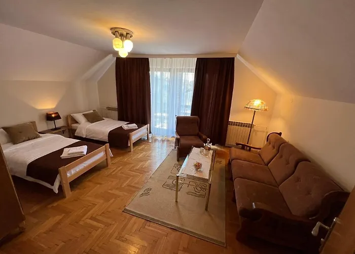 Interinn Luxury パラチン