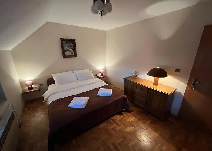 Interinn Luxury ヴィラ パラチン